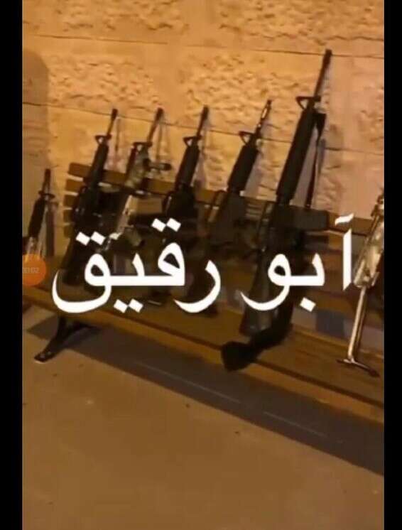 הנשקים המוצגים הסרטון